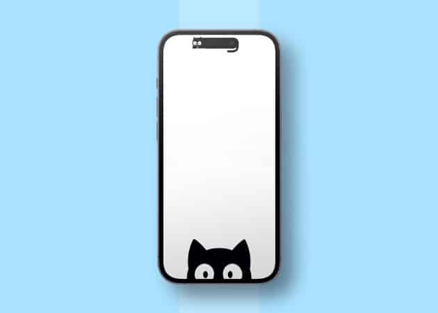 Cute cat Dynamic Island wallpaper for iPhone