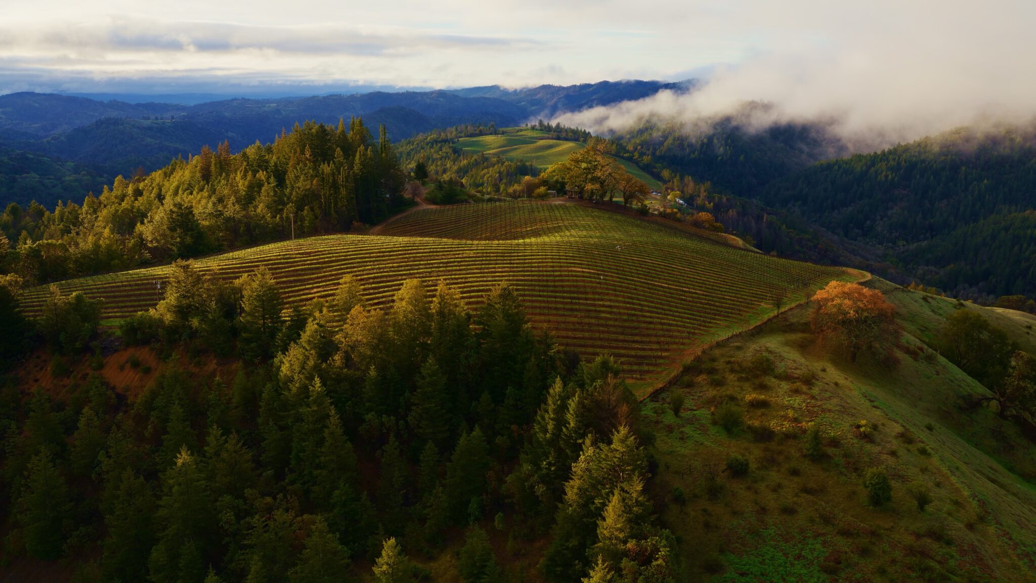 macOS Sonoma Horizon wallpaper